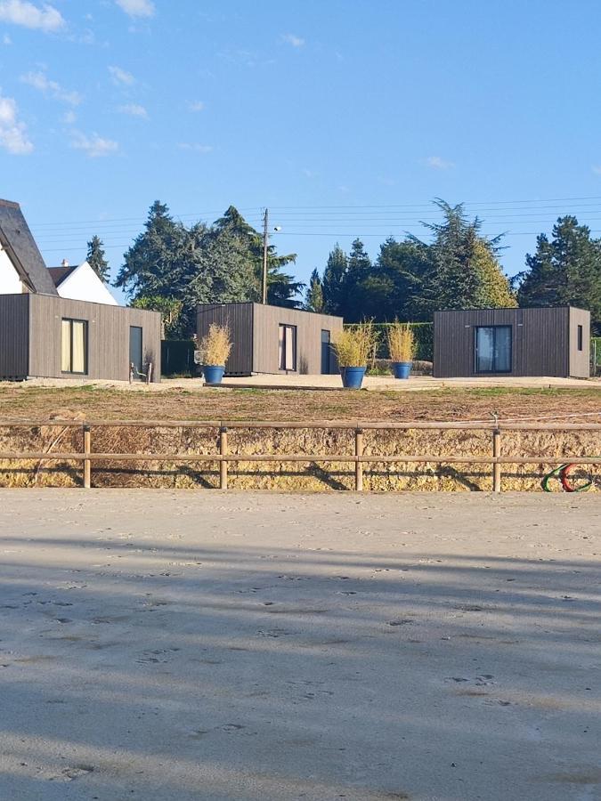 Domaine Du Moulin Neuf Aux Portes De Beauval Nouans-les-Fontaines Eksteriør billede