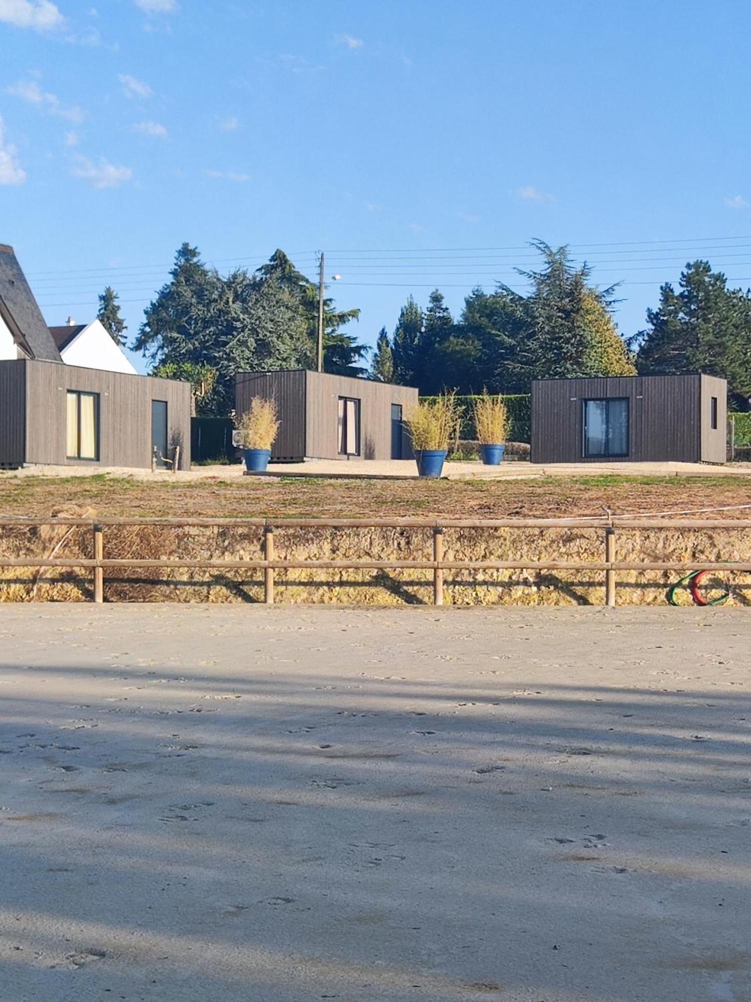 Domaine Du Moulin Neuf Aux Portes De Beauval Nouans-les-Fontaines Eksteriør billede