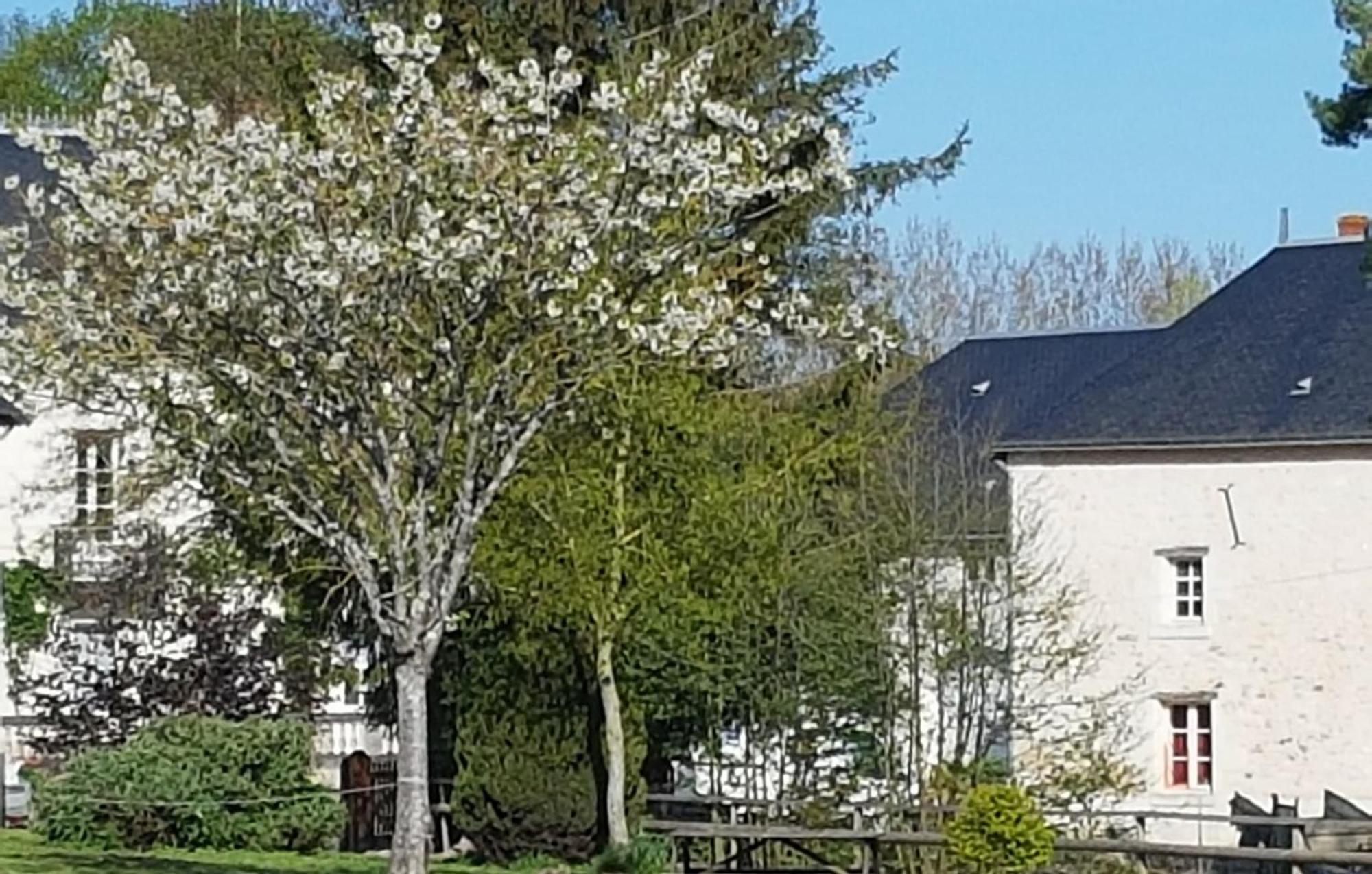 Domaine Du Moulin Neuf Aux Portes De Beauval Nouans-les-Fontaines Eksteriør billede