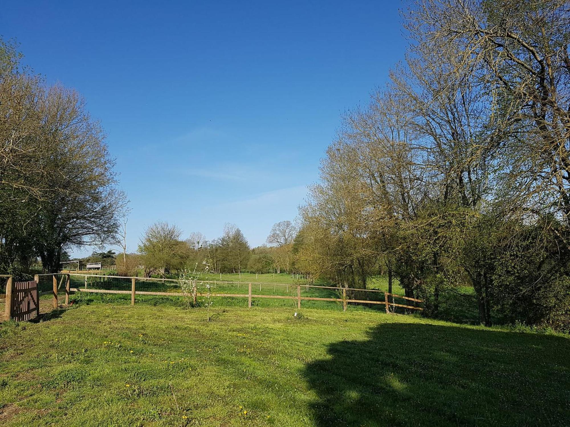 Domaine Du Moulin Neuf Aux Portes De Beauval Nouans-les-Fontaines Eksteriør billede