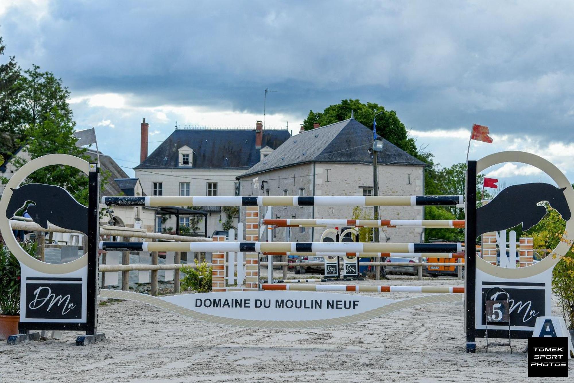 Domaine Du Moulin Neuf Aux Portes De Beauval Nouans-les-Fontaines Eksteriør billede